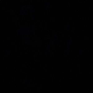 Meet your Posher, Camden